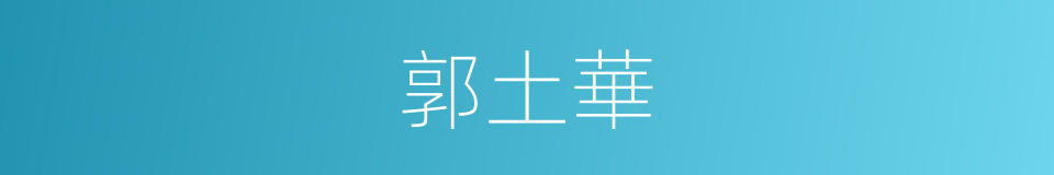 郭土華的同義詞