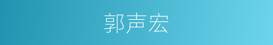 郭声宏的同义词