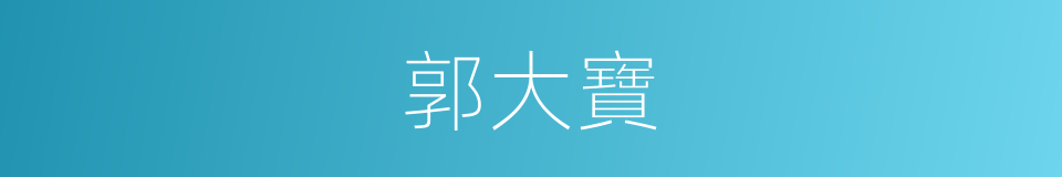 郭大寶的同義詞