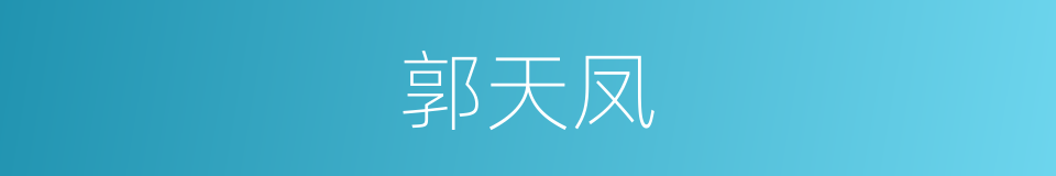 郭天凤的同义词