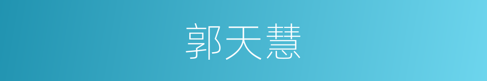 郭天慧的同义词