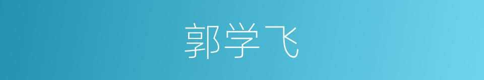 郭学飞的同义词