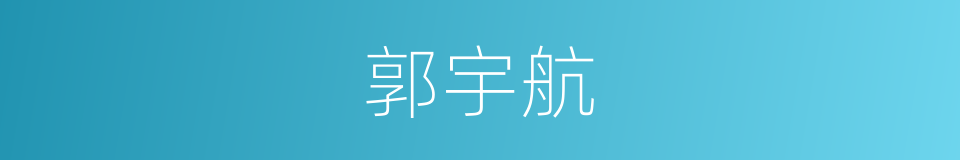 郭宇航的同义词