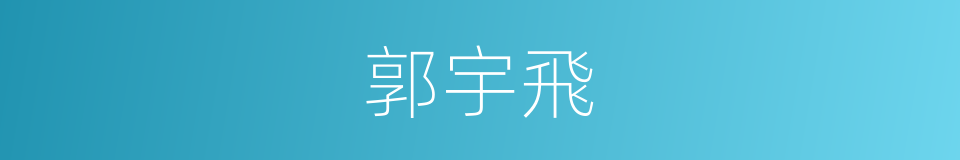 郭宇飛的同義詞