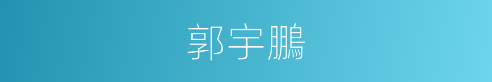 郭宇鵬的同義詞