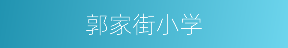 郭家街小学的同义词