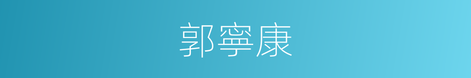 郭寧康的同義詞