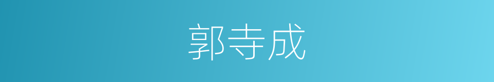 郭寺成的同义词