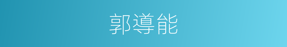 郭導能的同義詞