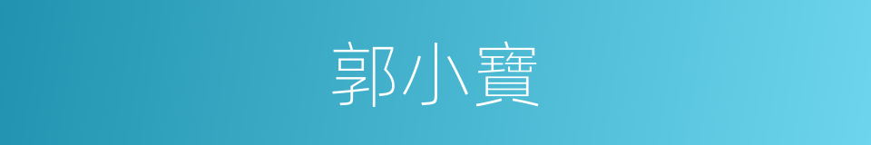 郭小寶的同義詞