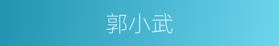 郭小武的同义词