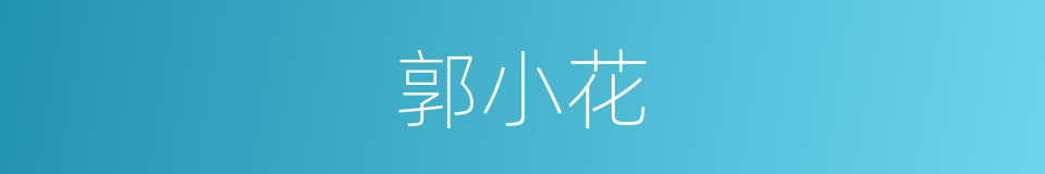 郭小花的同义词