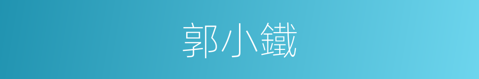 郭小鐵的同義詞