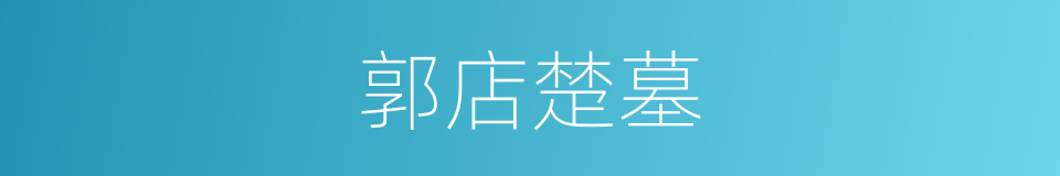 郭店楚墓的同义词
