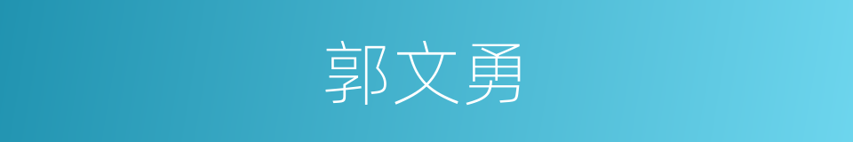 郭文勇的同义词