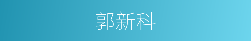 郭新科的同义词