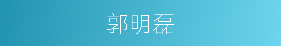 郭明磊的同义词