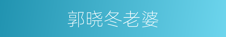 郭晓冬老婆的同义词