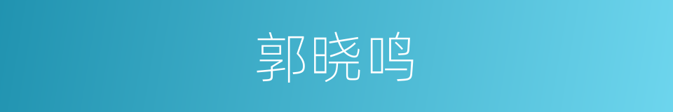 郭晓鸣的同义词
