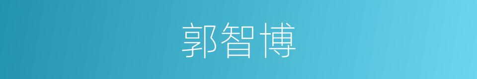 郭智博的同义词