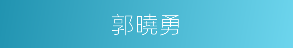 郭曉勇的意思