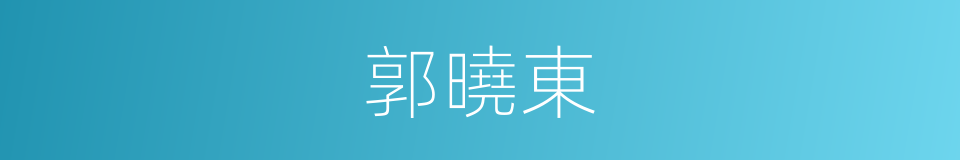 郭曉東的同義詞
