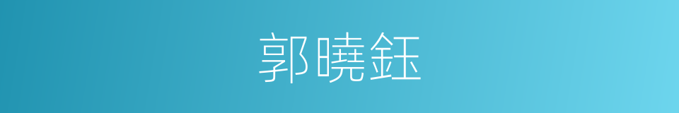 郭曉鈺的同義詞