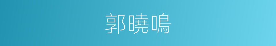 郭曉鳴的同義詞