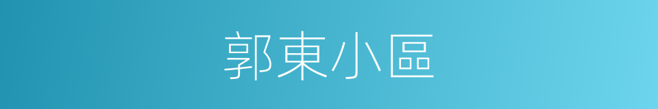 郭東小區的同義詞
