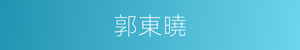 郭東曉的同義詞