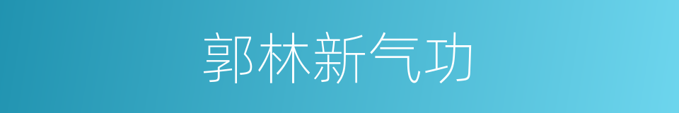 郭林新气功的同义词