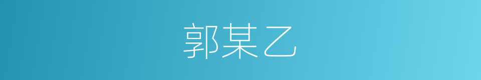 郭某乙的同义词