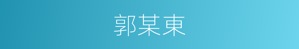 郭某東的同義詞