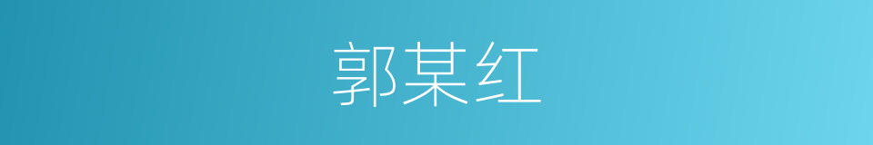 郭某红的同义词