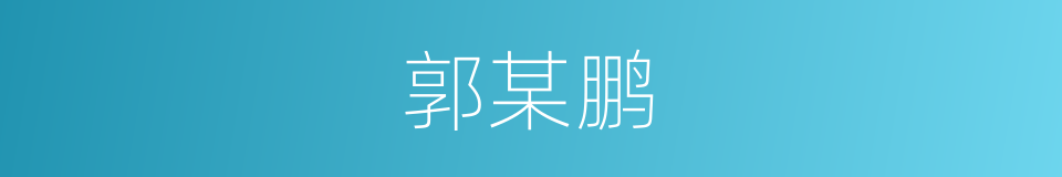 郭某鹏的同义词