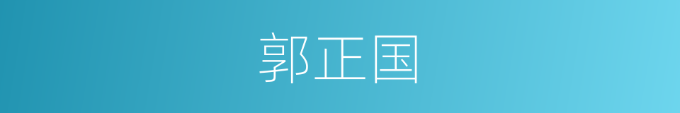 郭正国的同义词