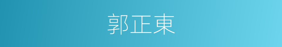 郭正東的同義詞