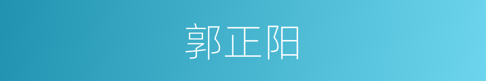 郭正阳的同义词
