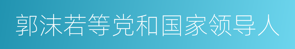 郭沫若等党和国家领导人的同义词