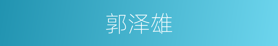 郭泽雄的同义词