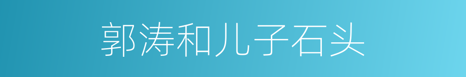 郭涛和儿子石头的同义词