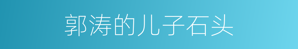 郭涛的儿子石头的同义词