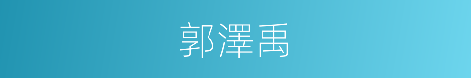 郭澤禹的同義詞
