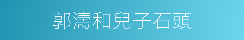 郭濤和兒子石頭的同義詞