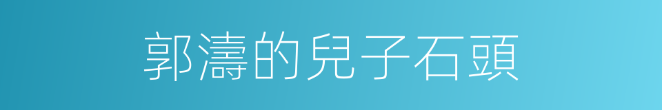 郭濤的兒子石頭的同義詞