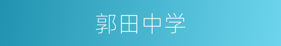 郭田中学的同义词