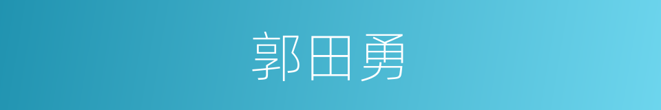 郭田勇的同义词