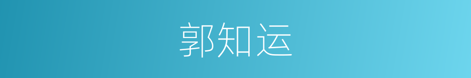郭知运的同义词