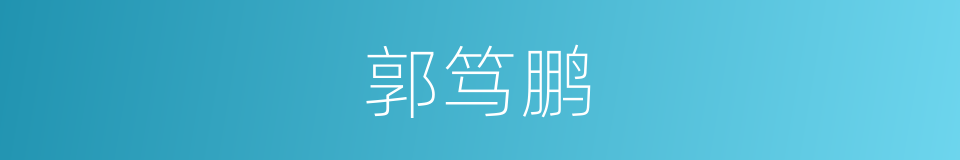 郭笃鹏的同义词