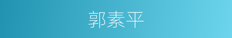 郭素平的同义词